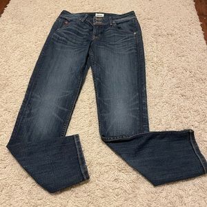 Hudson Collin Flat Skinny Ankle